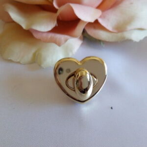 Chiusura Cuore