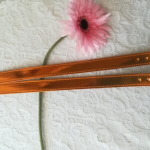 9 TRSL manici S3 - rame vernice