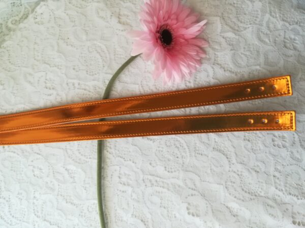 9 TRSL manici S3 - rame vernice