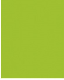La Birkin - pelle verde lime