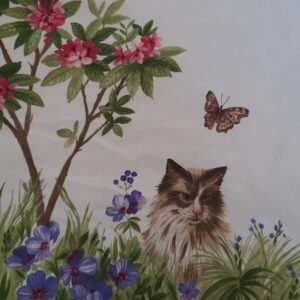 Serendipity - Gatti