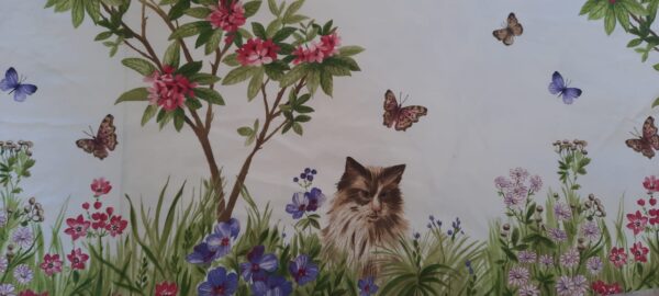 Serendipity - Gatti