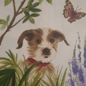 Serendipity - Cani