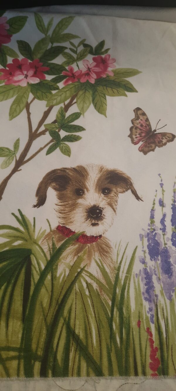 Serendipity - Cani