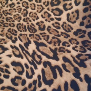 Patella Coimbra tessuto maculato leopardo