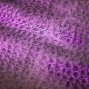 Patella Coimbra ecopelle viola cocco
